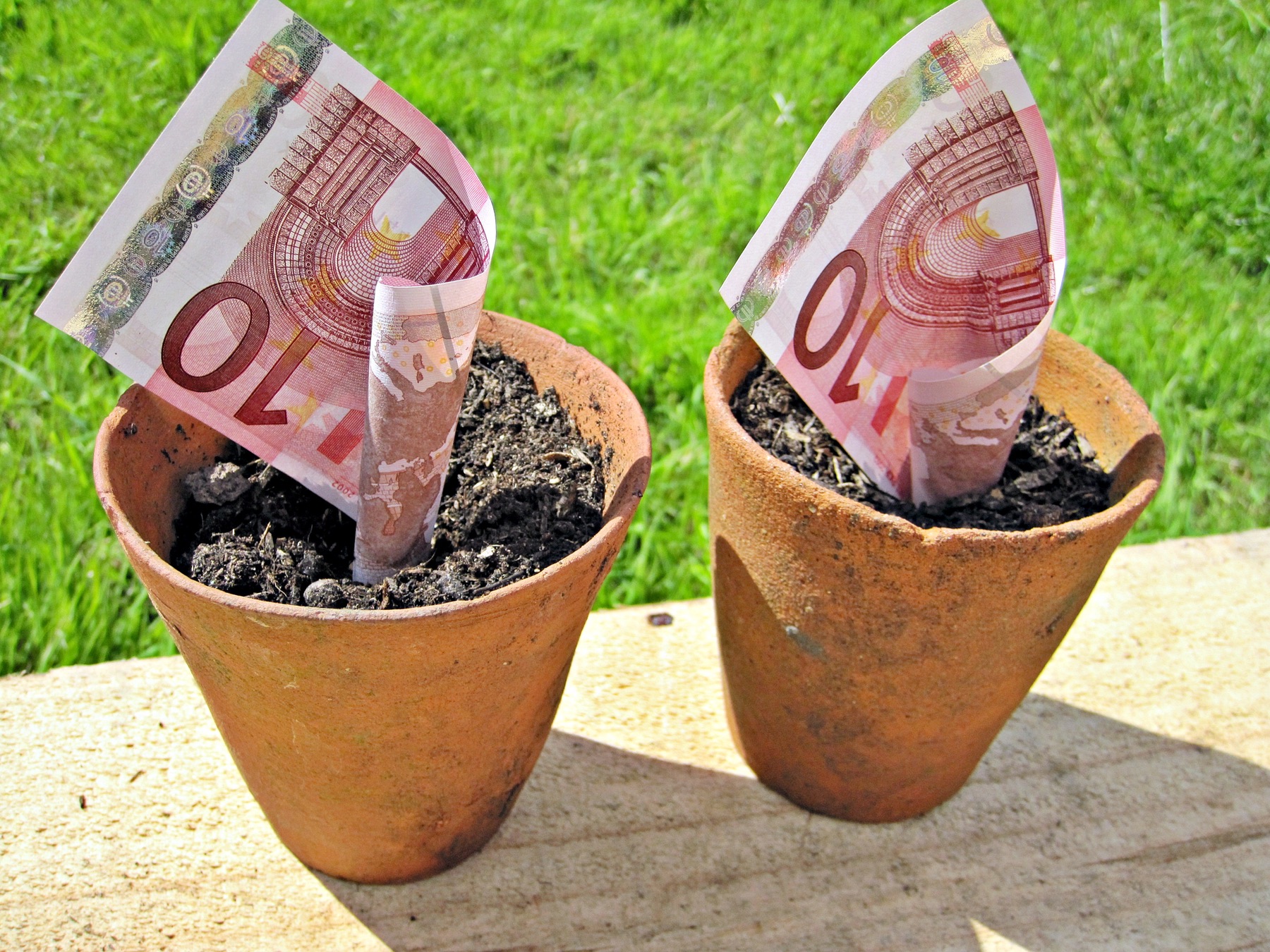 growing money